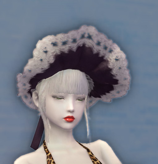 Elegant Noble Hat