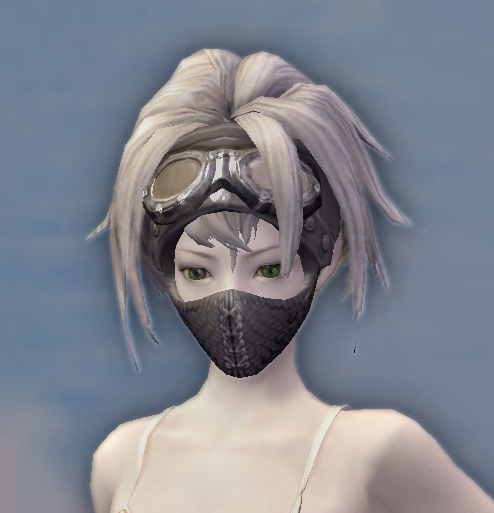 NPC Crafted Leather Head