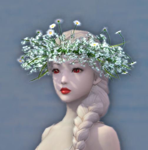 Wildflower Crown