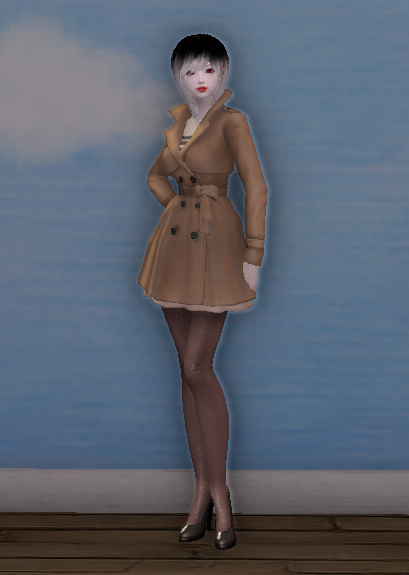 Simple Country Coat