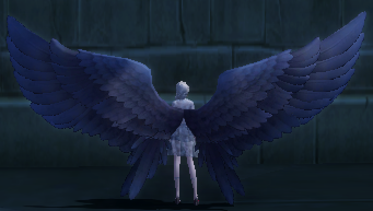 Pitch Black Wings