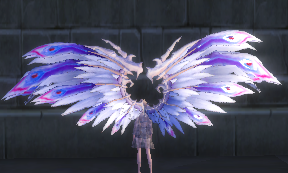 Peacock Wings